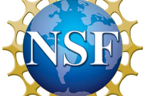 NSF logo
